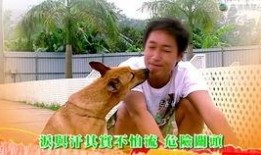 老友狗狗国语在线观看